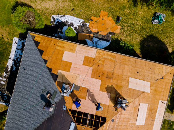 Quick and Trustworthy Emergency Roof Repair Services in Miami Lakes, FL