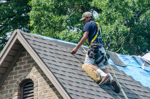 Professional Roofing Contractor in Miami Lakes, FL